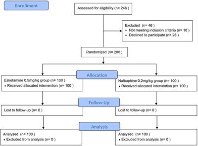 Efficacy and safety comparison of esketamine-propofol with nalbuphine-propofol for upper gastrointestinal endoscopy in children: a multi-center randomized controlled trial